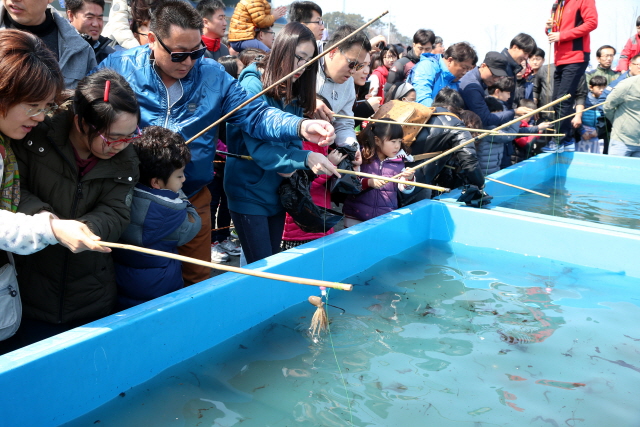 동백꽃·쭈꾸미 축제