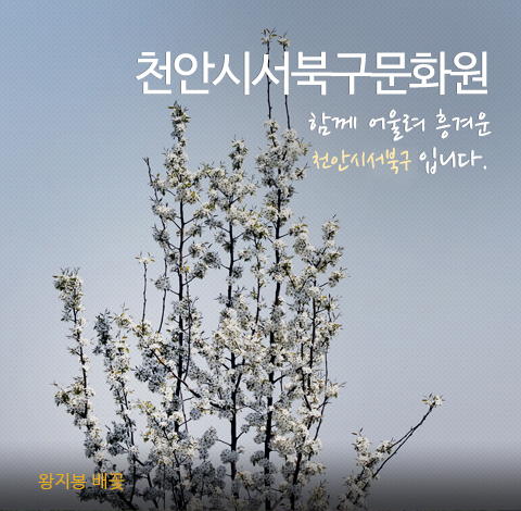 메인