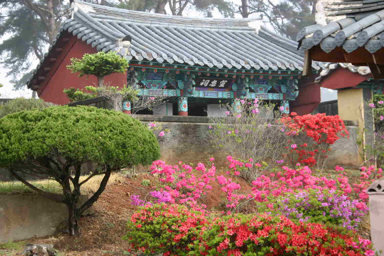 선충사(宣忠祠)